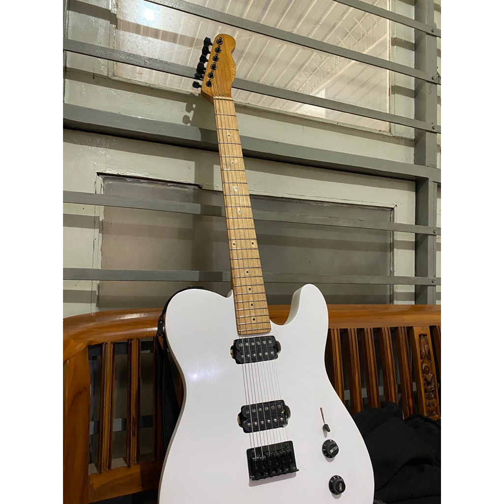 Custom order telecaster HH