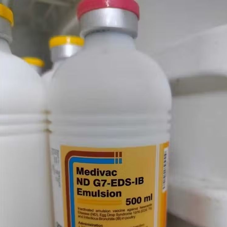 Medivac ND G7-EDS-IB Emulsion 50 & 25 ML Vaksin Ayam Perlindungan Terbaik Cegah ND EDS dan IB Dosis 