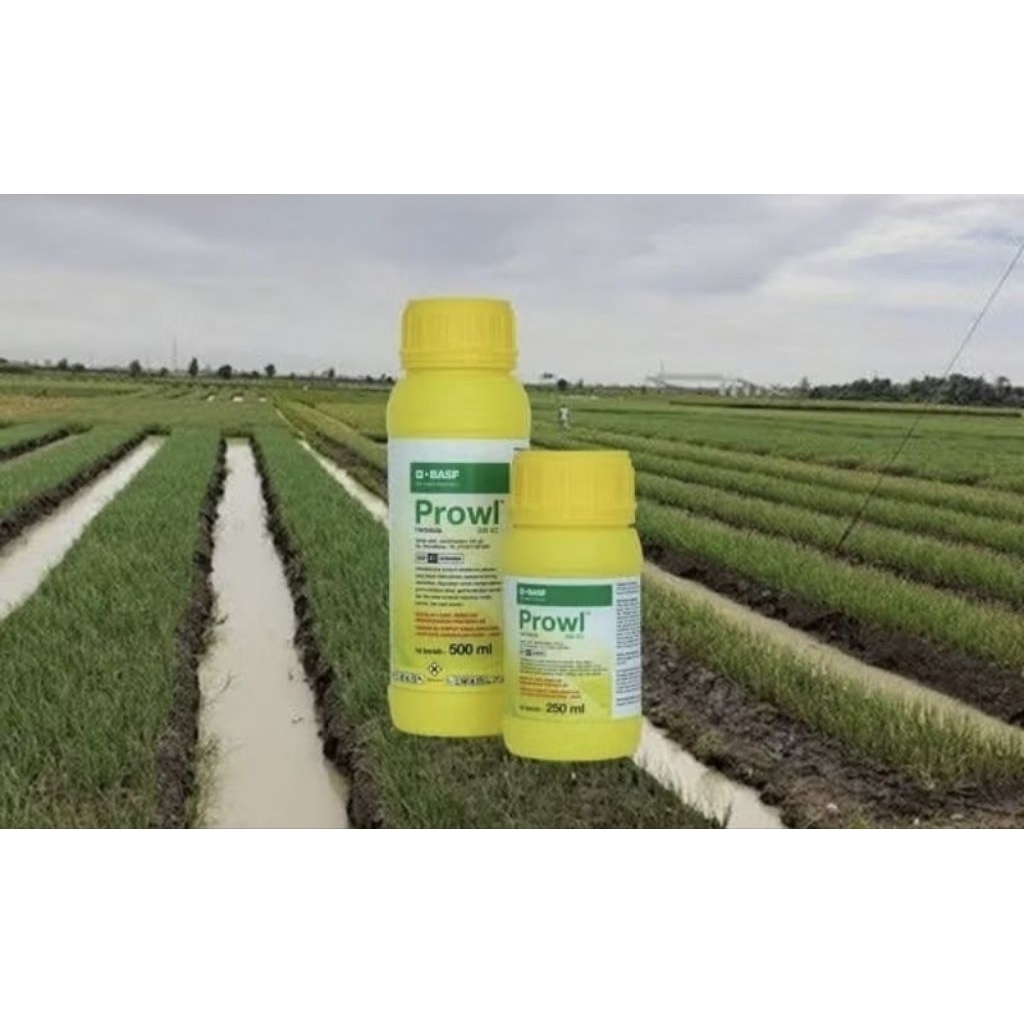 Herbisida PROWL 330EC 500ML