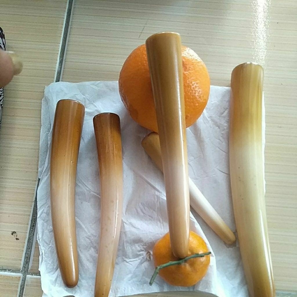 pipa once srigading