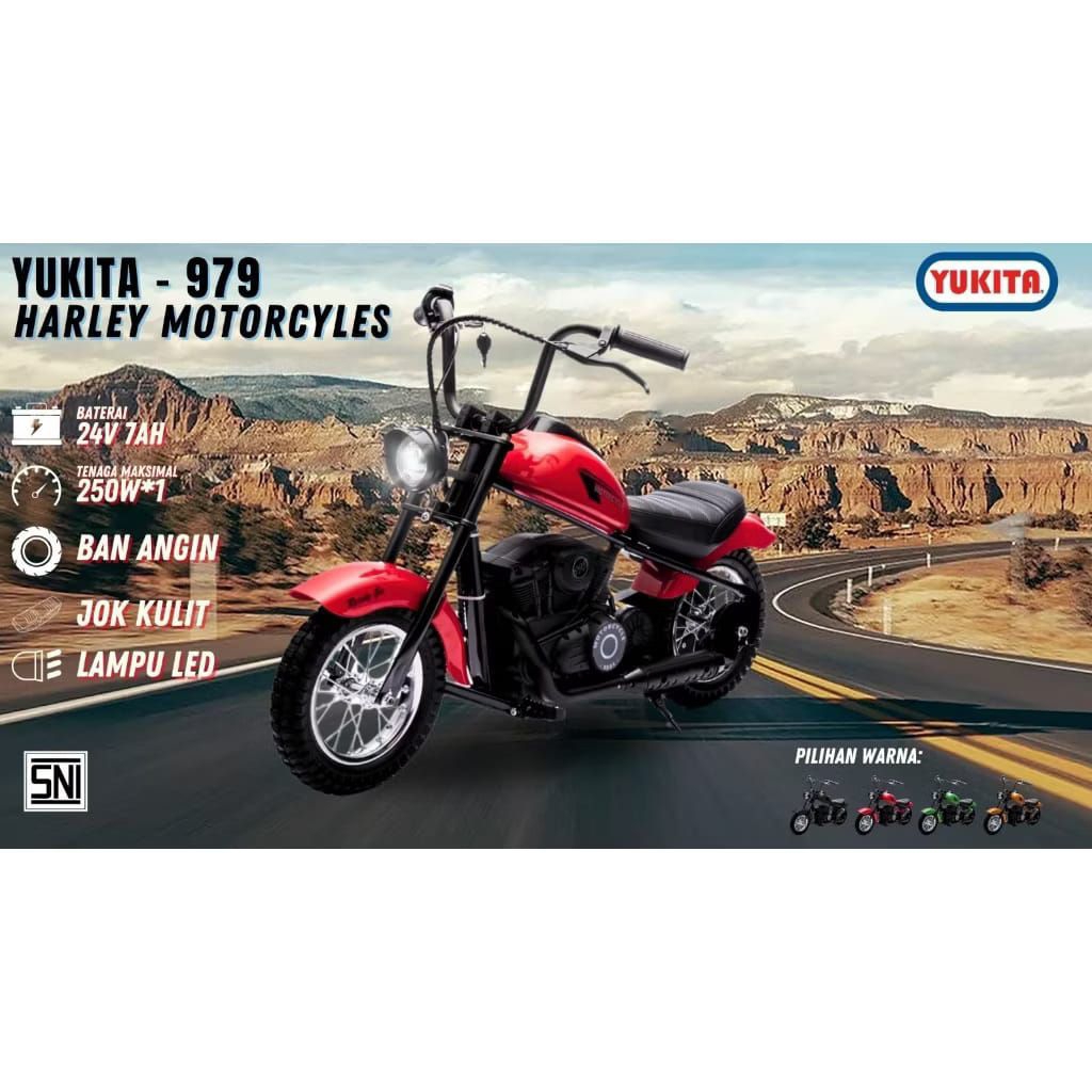 MOTOR AKI YUKITA 979 HARLEY DAVIDSON ~ MOTOR AKI ANAK