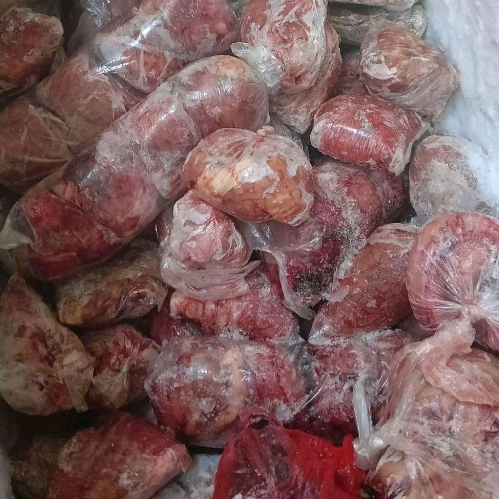 Otak Sapi Lokal Fresh