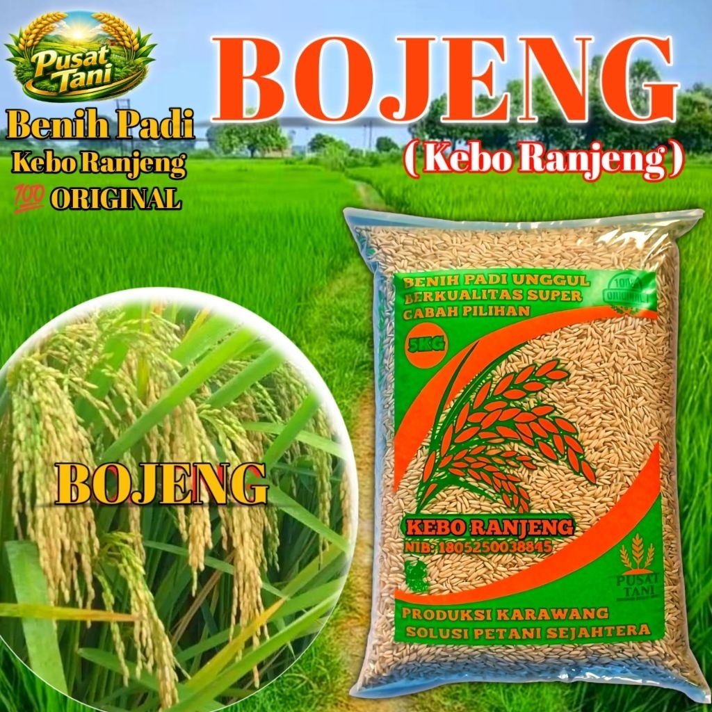 Benih Padi Bojeng Kebo Ranjeng Original Kemasan 5kg