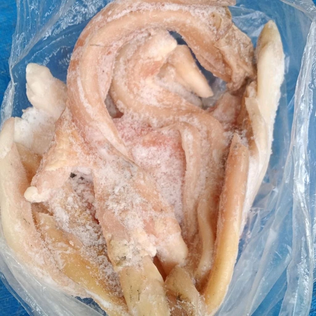 Urat Kaki Sapi Lokal Fresh