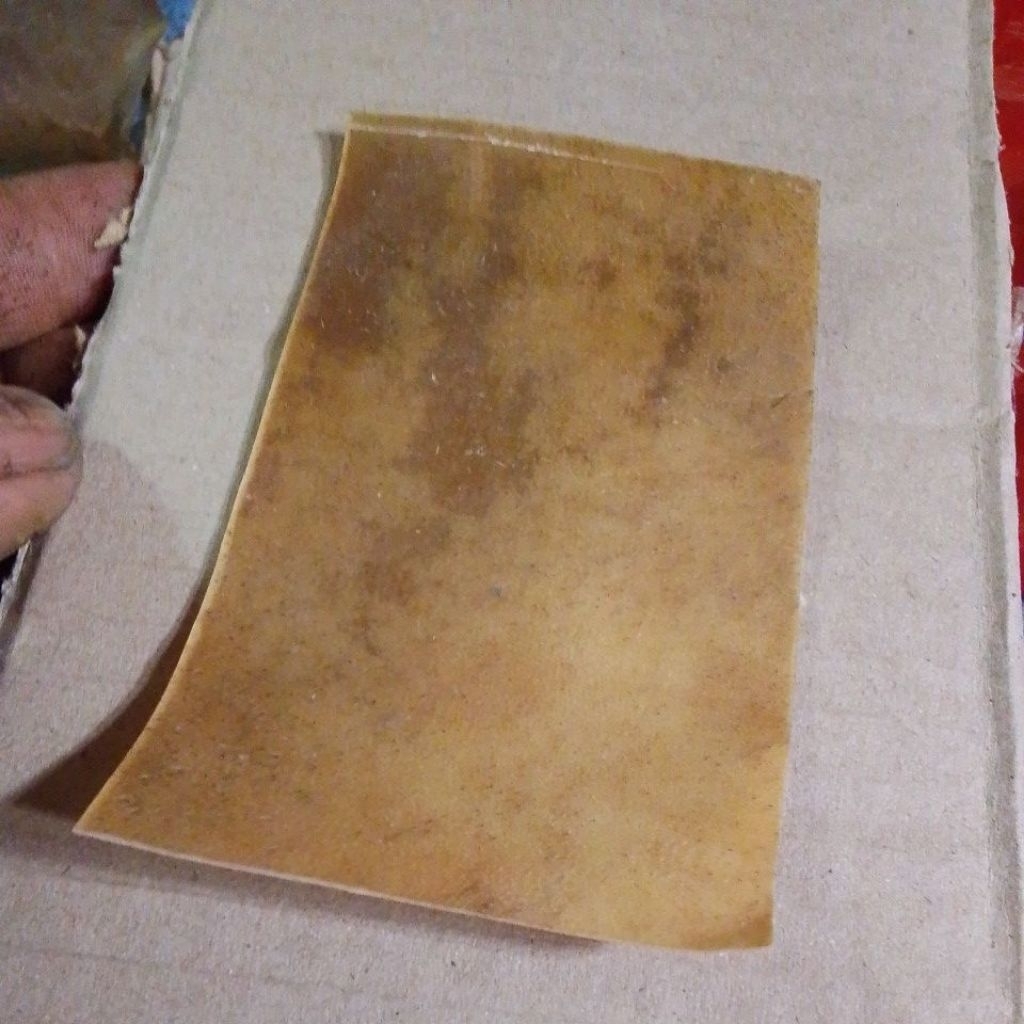kulit kijang asli sudah di kerok bulu nya tinggal isi