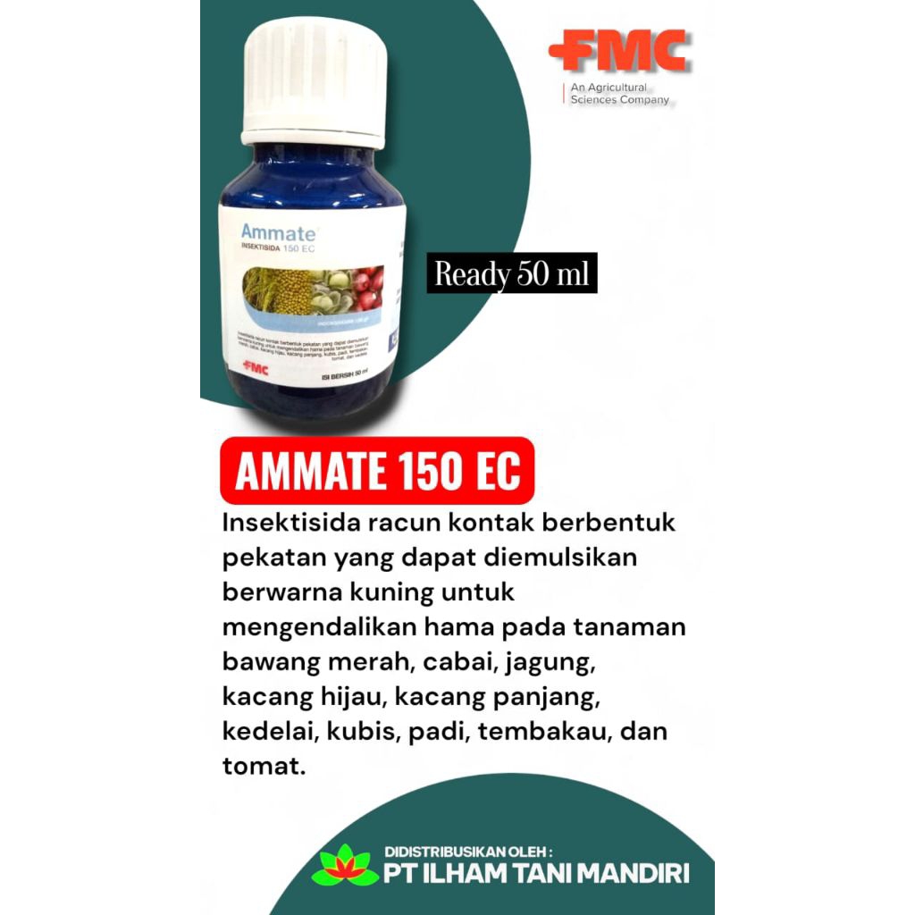 AMMATE 50 ML