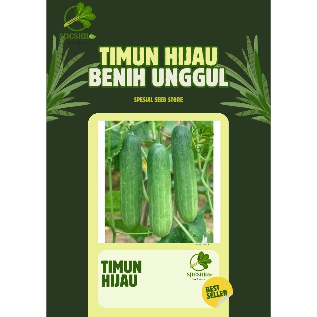 75++ benih mentimun roket hijau