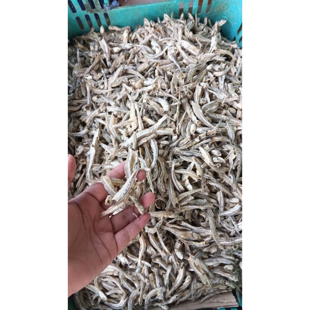 IKAN ASIN MEDAN