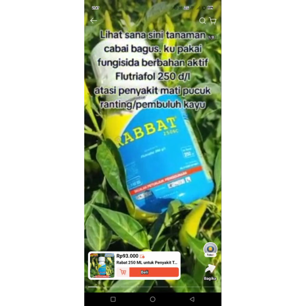 Fungisida Rabbat 250sc