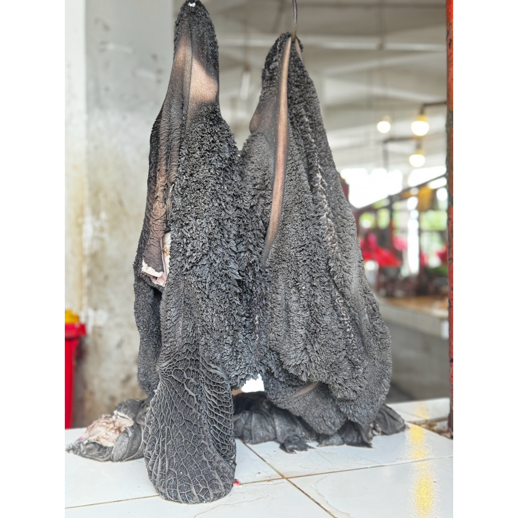 Babat Sapi Lokal Fresh Halal