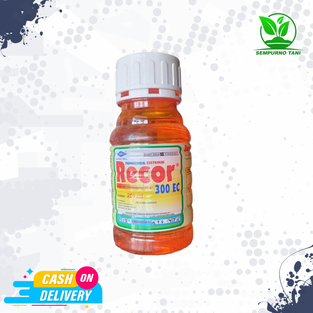 Fungisida Recor 300EC 250 ml Fungisida Sistemik Difenokonazol