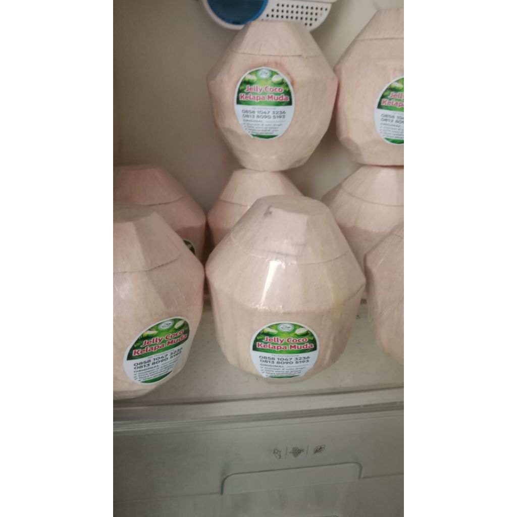 jelly coco kelapa muda