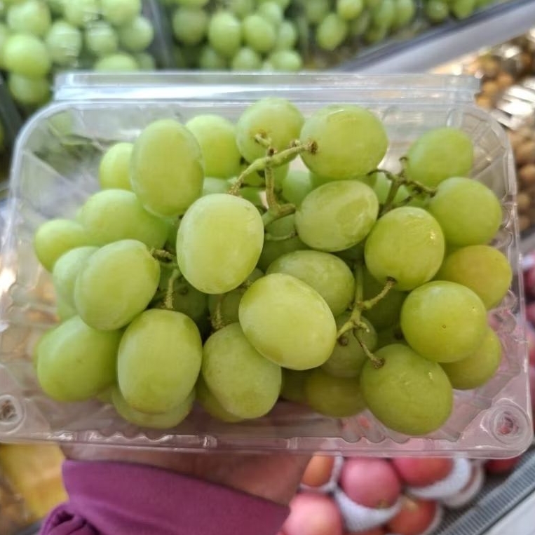 Anggur autumn crispy fruitico | buah anggur kering manis fresh / kg