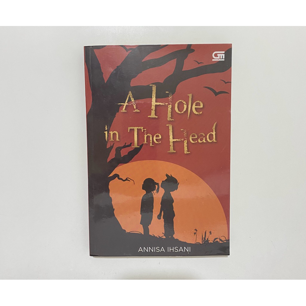 Preloved Novel Bahasa Indonesia A Hole in the Head - Annisa Ihsani