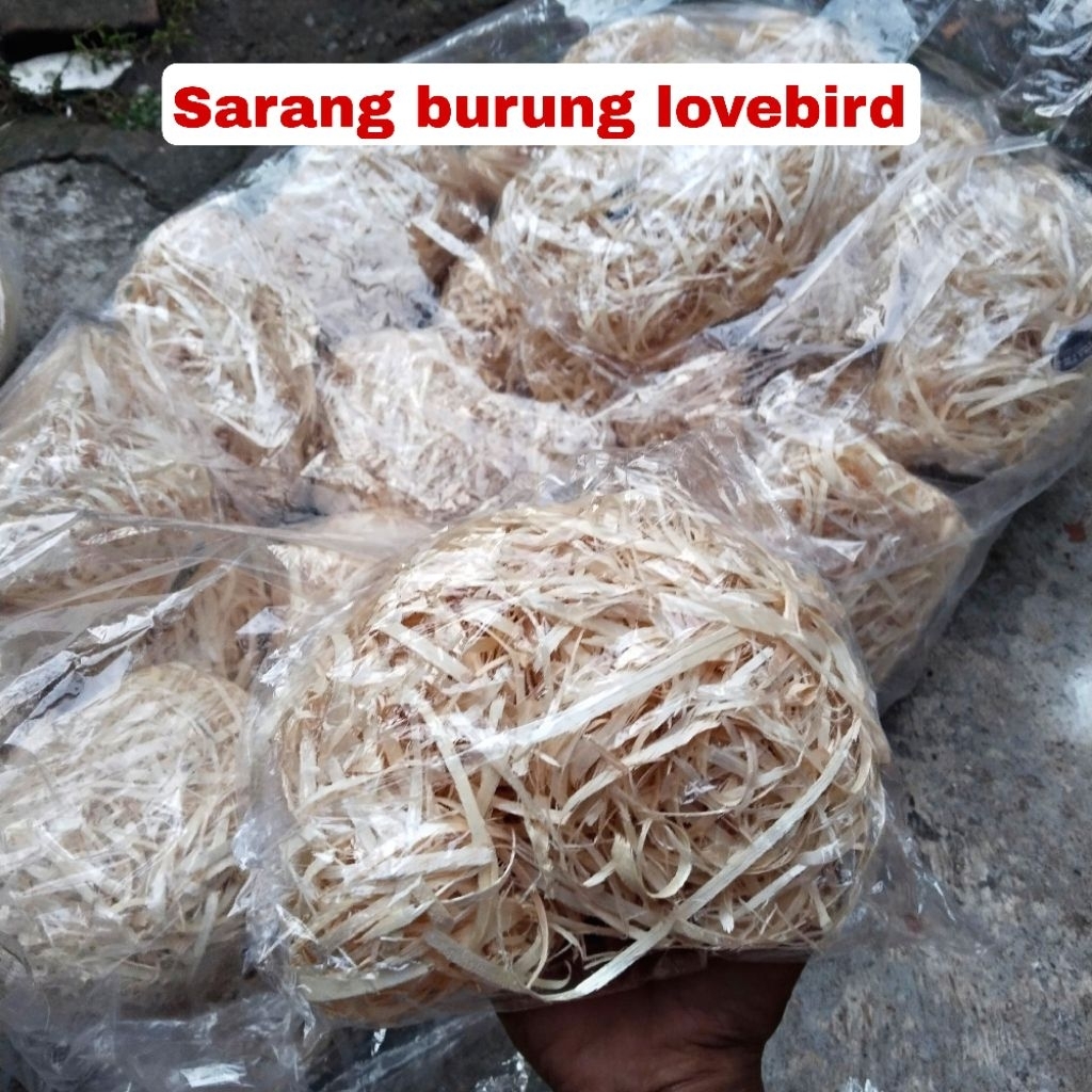 Sarang burung lovebird peternak lovebird