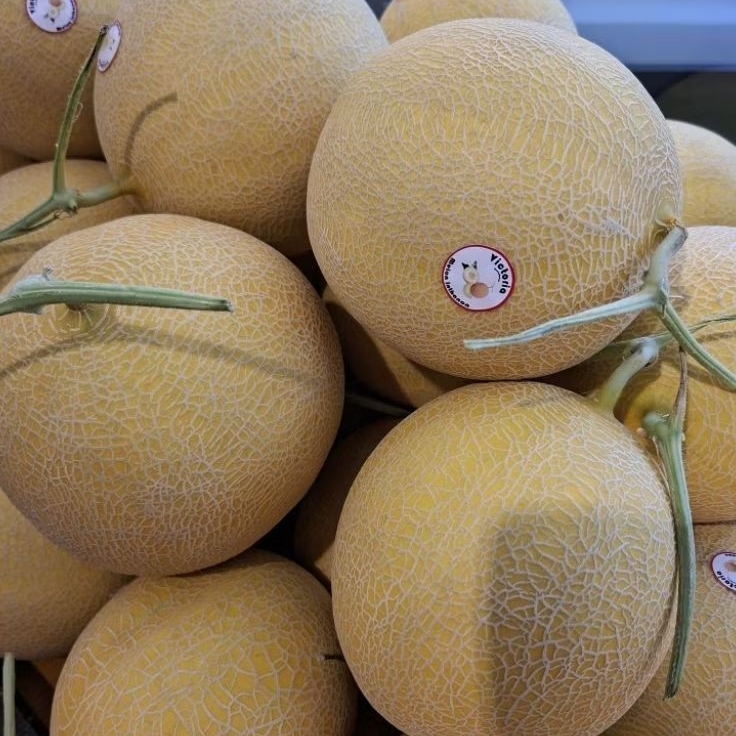 Buah melon intanon hydroponic | buah melon intanon fresh manis / 1 kg
