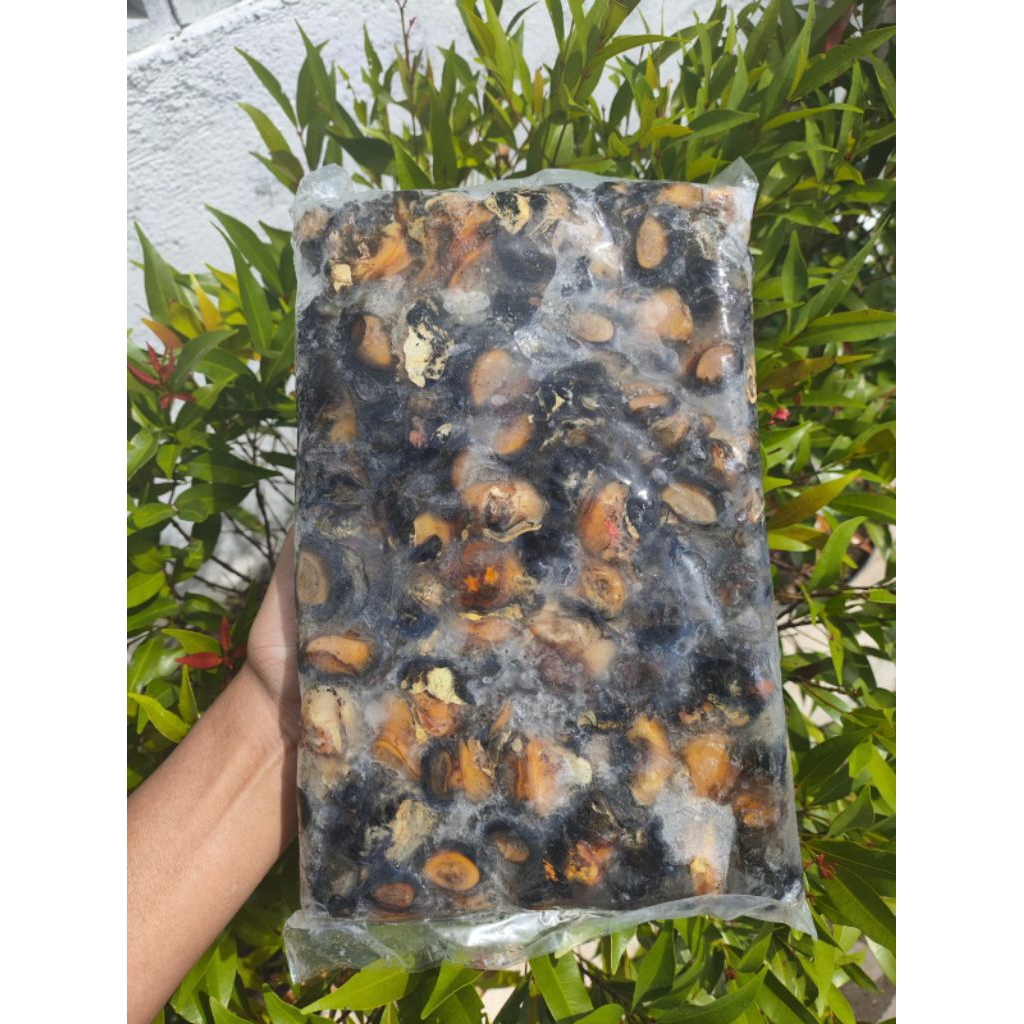 Keong sawah kemasan 1kg