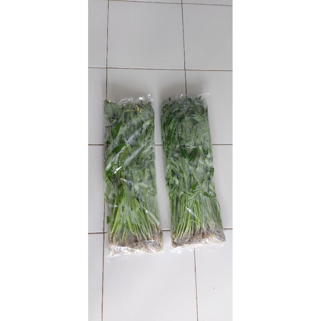 Sayur Kangkung Hidroponik (Perkilo)