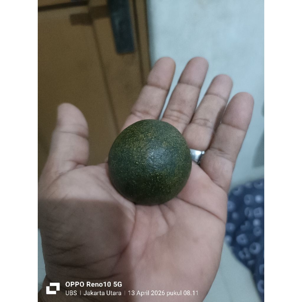 geliga batu landak hijau alami
