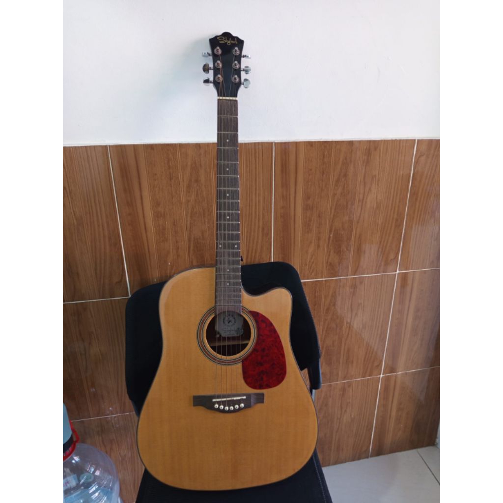 Gitar Skylark MAG550CN