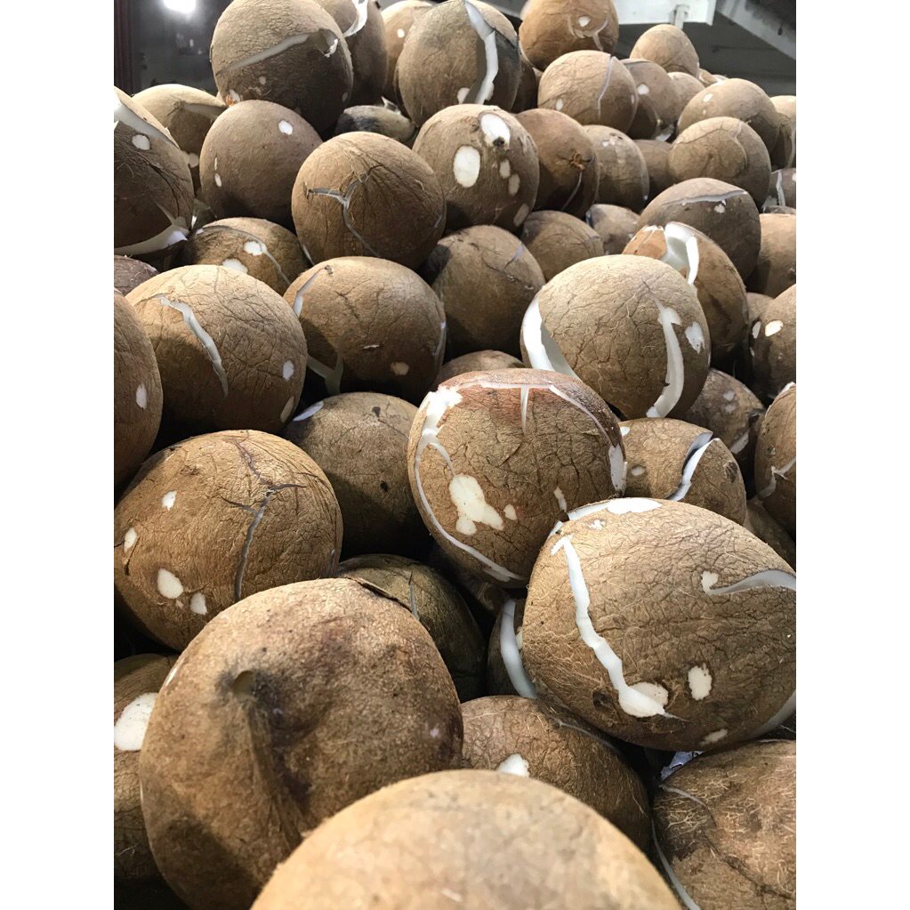 Kelapa parut / Kelapa santan / kelapa urap / Kelapa kerok