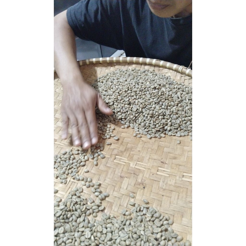 green bean arabica 1347 mdpl
