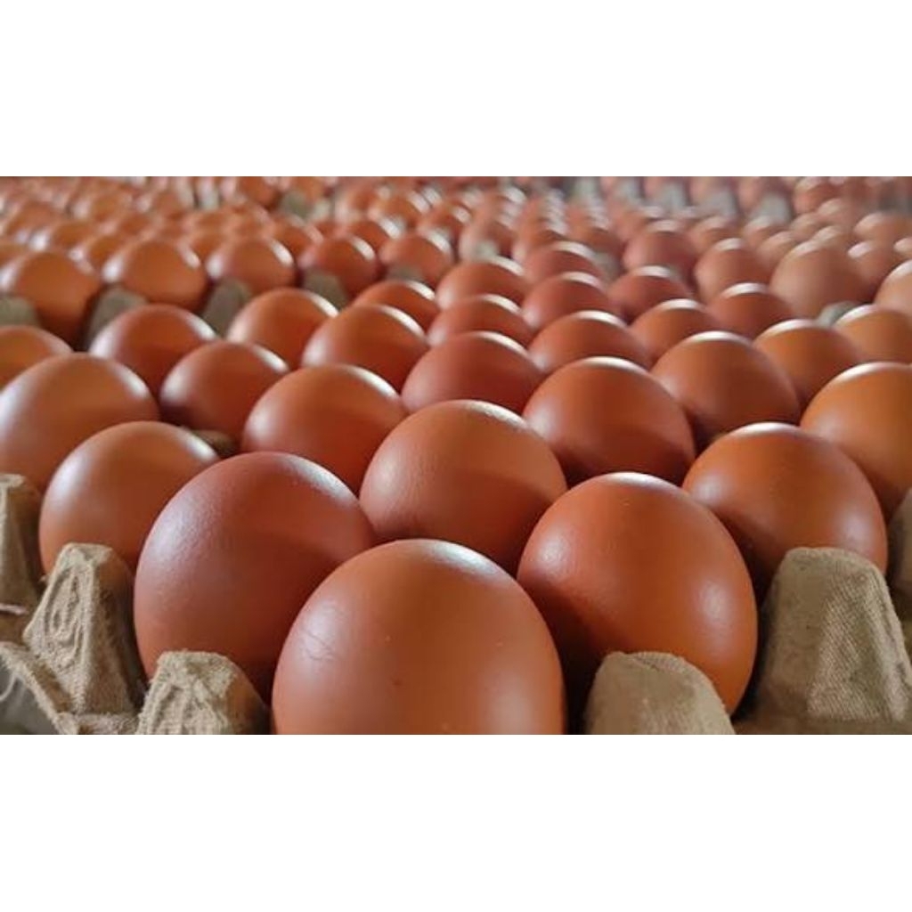 Telur ayam 1 kg (paiton pakuniran kotaanyar)