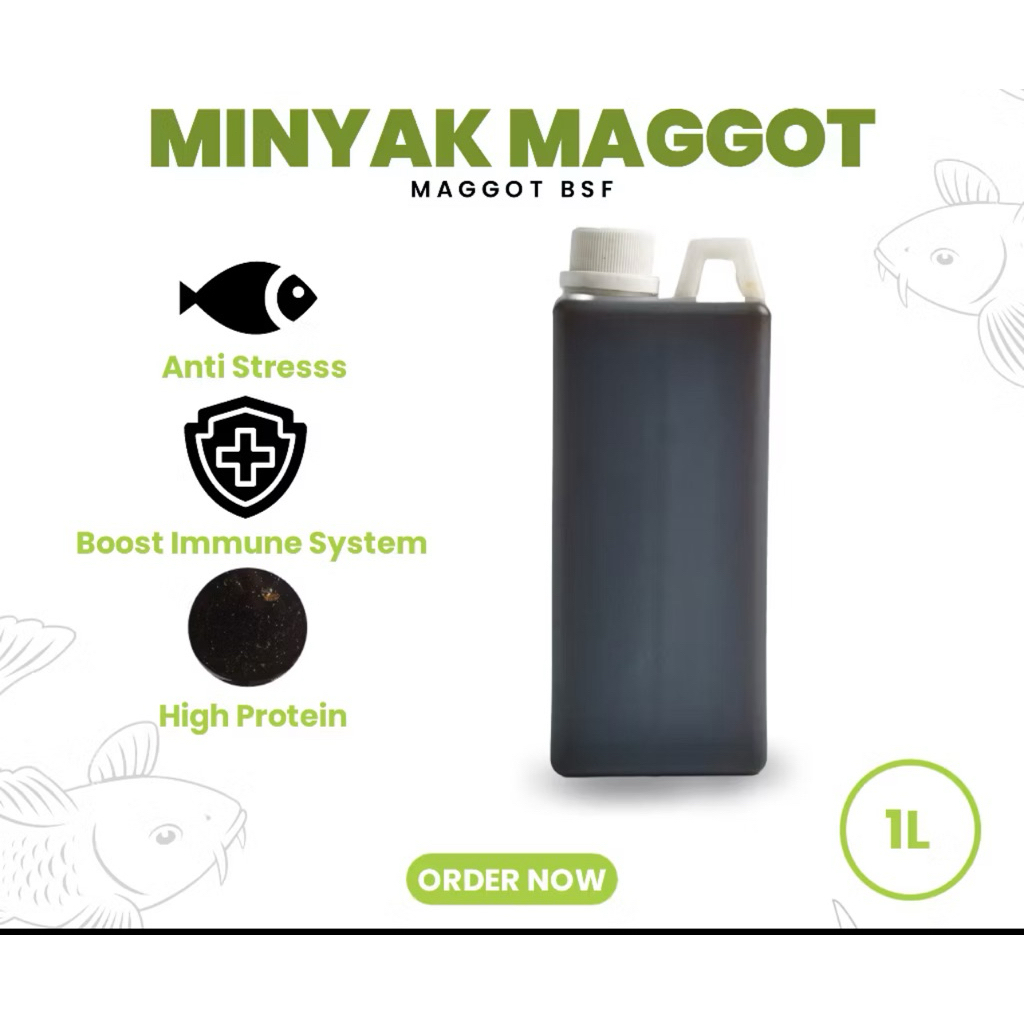 Minyak Maggot Oil / Crude Oil BSF asli untuk hewan ternak