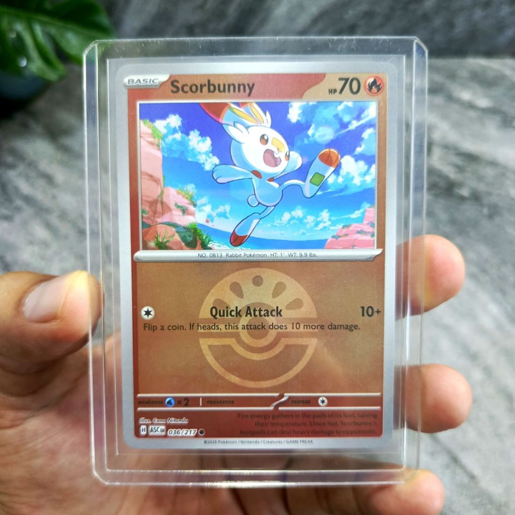 kartu pokemon original english scorbunny holo mirror friendball dapat toploader | kartu pokemon asli