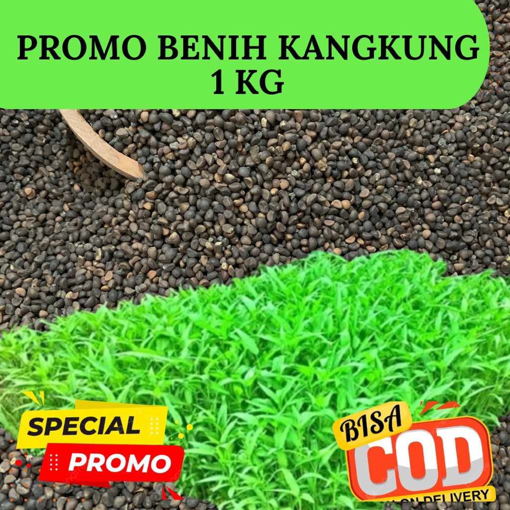 PROMO BIJI BENIH KANGKUNG 1 KG