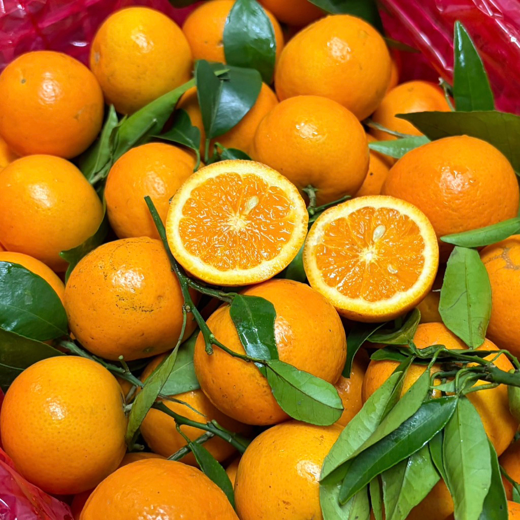 WOKAM MINI DAUN | MANIS JERUK MANDARIN WOGAN