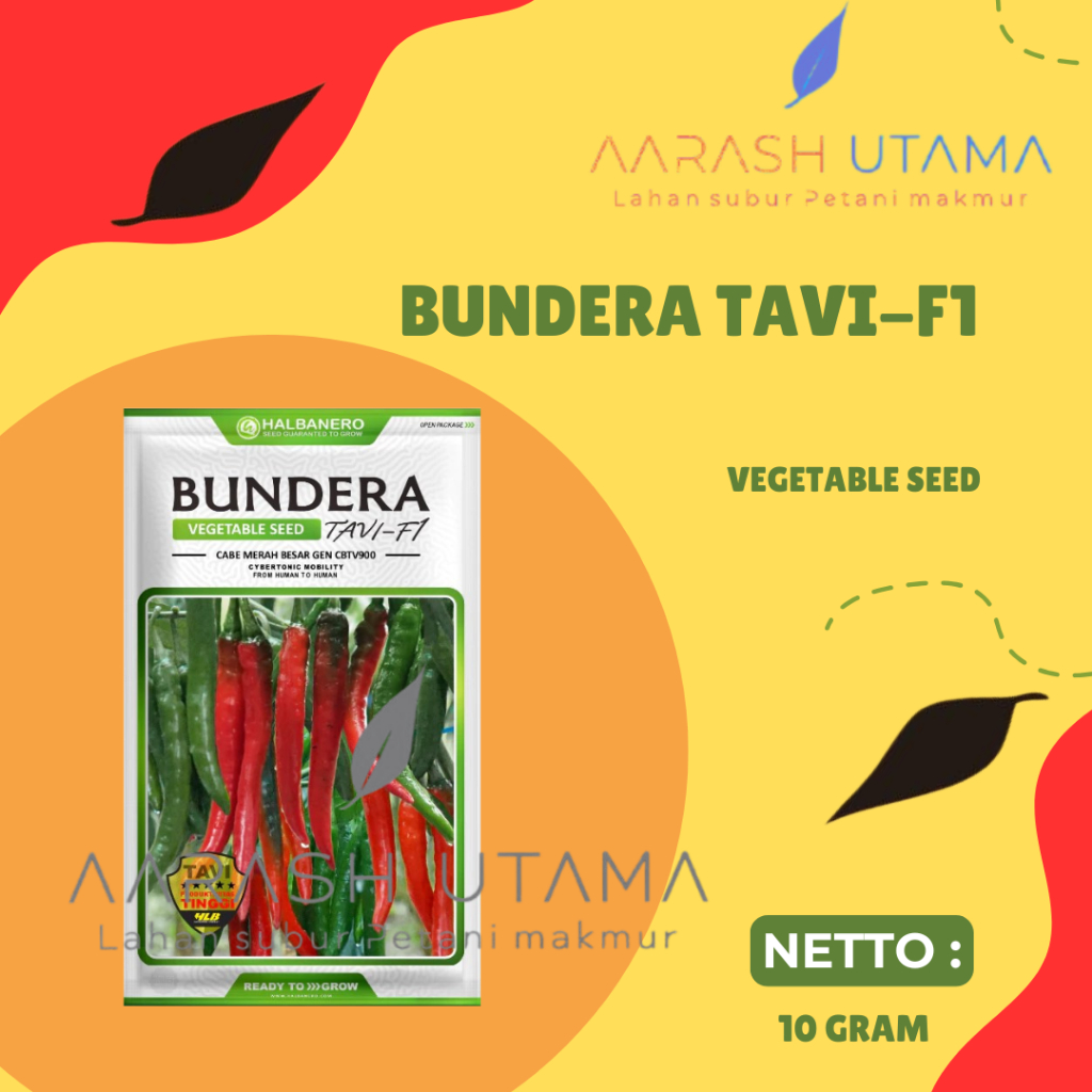 BUNDERA BENIH CABAI BESAR TAVI F1 HALBANERO