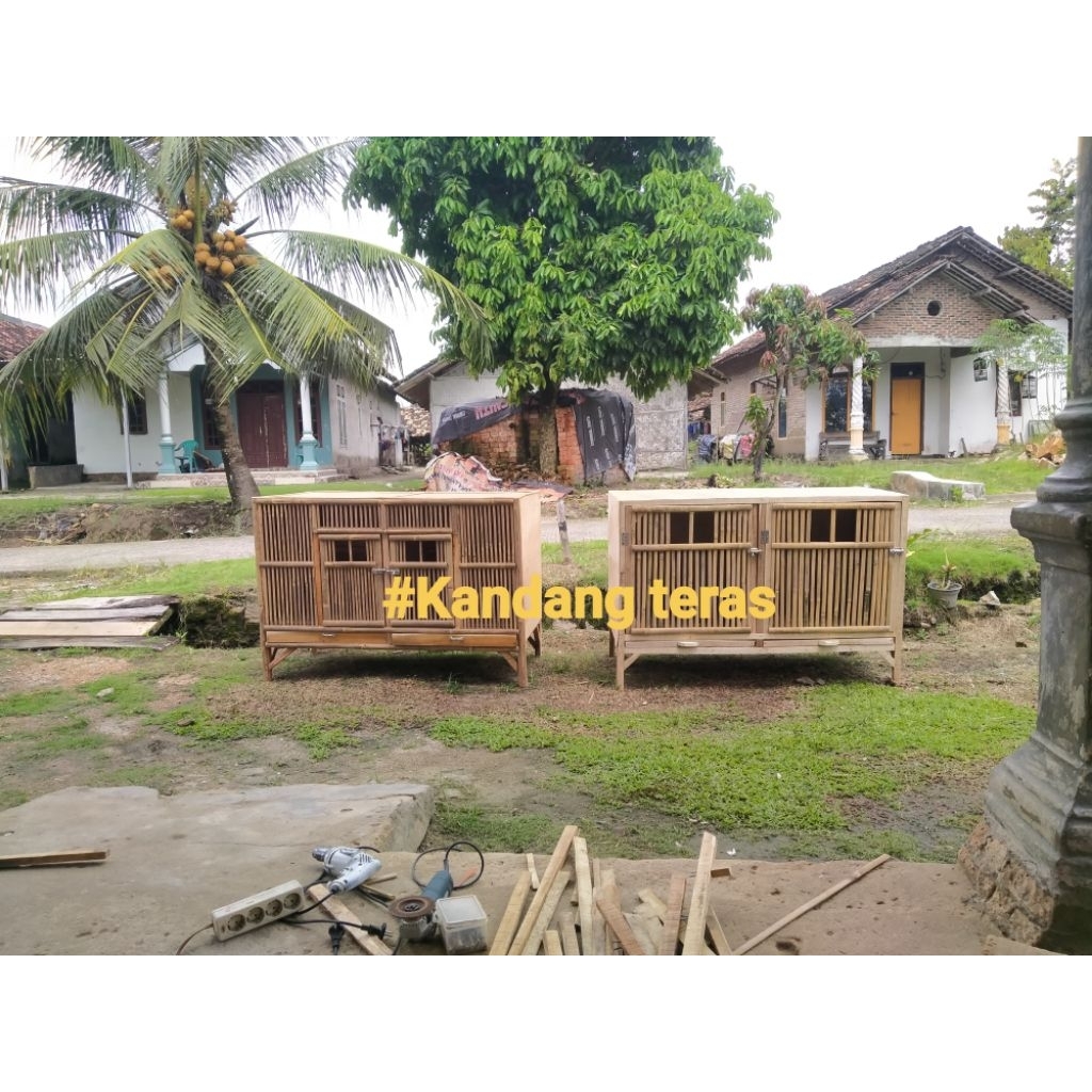 Kandang Box ayam jago