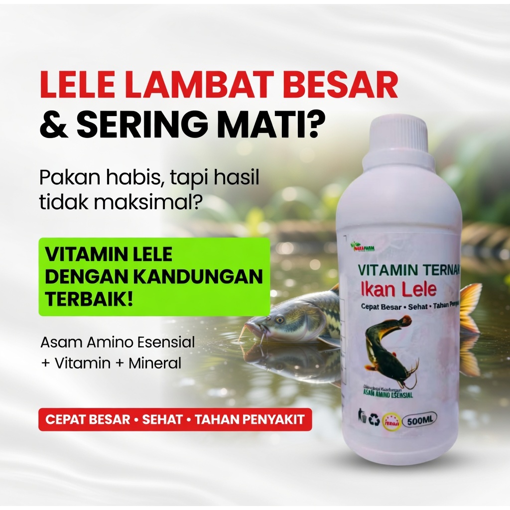 Vitamin Lele Cepat Besar Obat Lele Penggemukan Nafsu Makan Tinggi Sehat