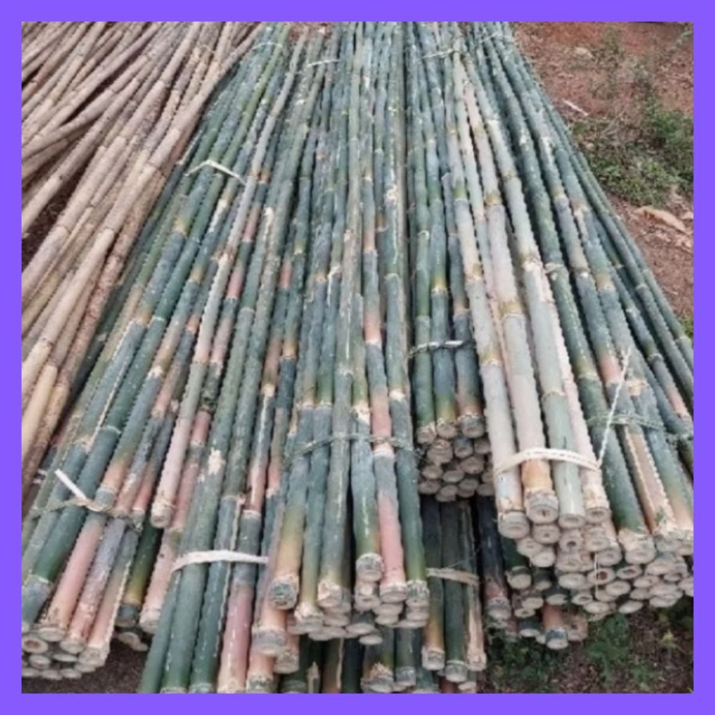 Bambu Tiang Bendera / Bisa Untuk Jemuran Dan Dekorasi Panjang 150cm