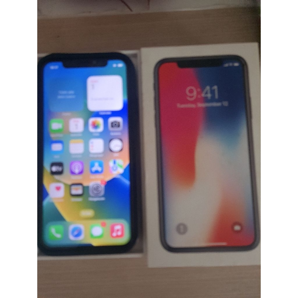 Ip X asli import memory 256Gb