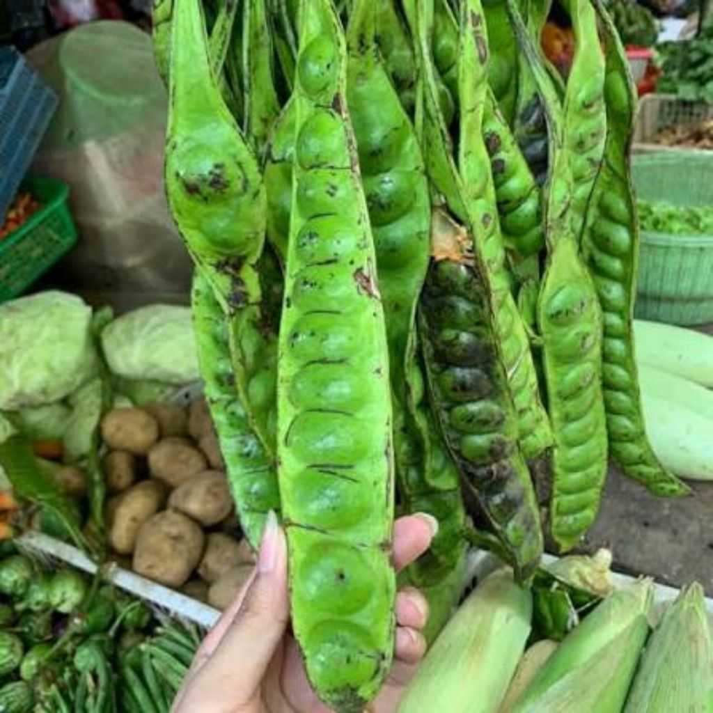 Pete petai 1 Papan