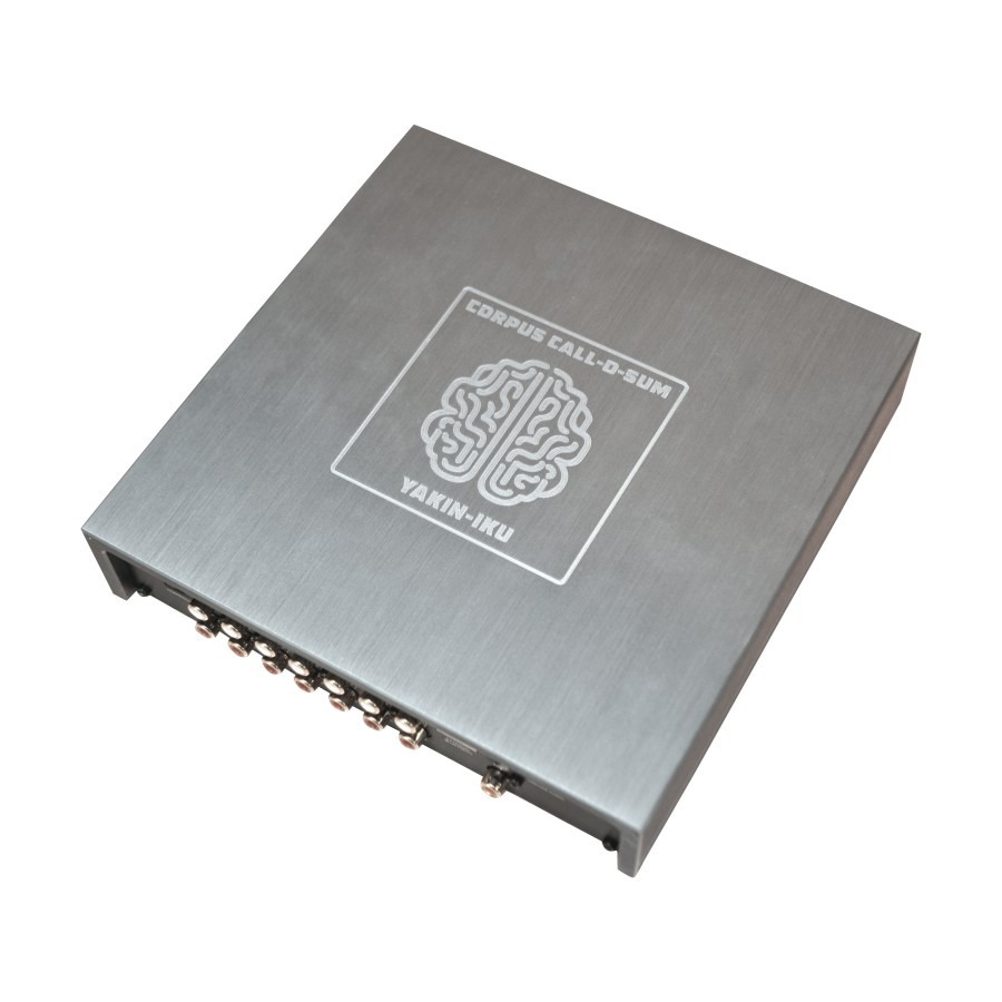 DSP Processor Amplifier Dominations Yakiniku 12CH