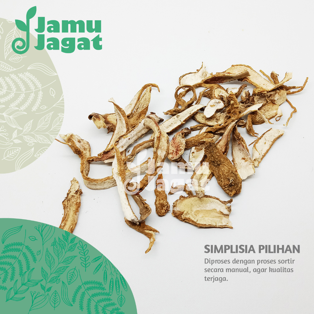 Ginseng Jawa Kering 250gr Asli SOM Grade A