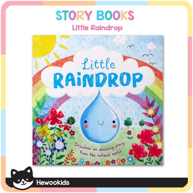 Little Raindrop picture story book