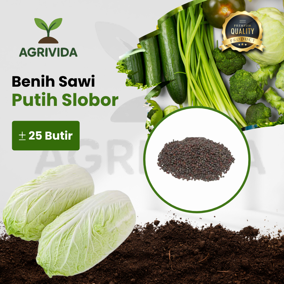 Benih Sawi Putih Slobor 25 Butir