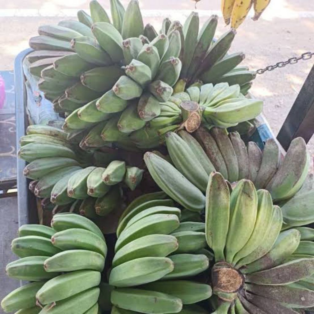 Pisang nipah 1 sisir/ pisang nipah hijau / pisang nipah kuning