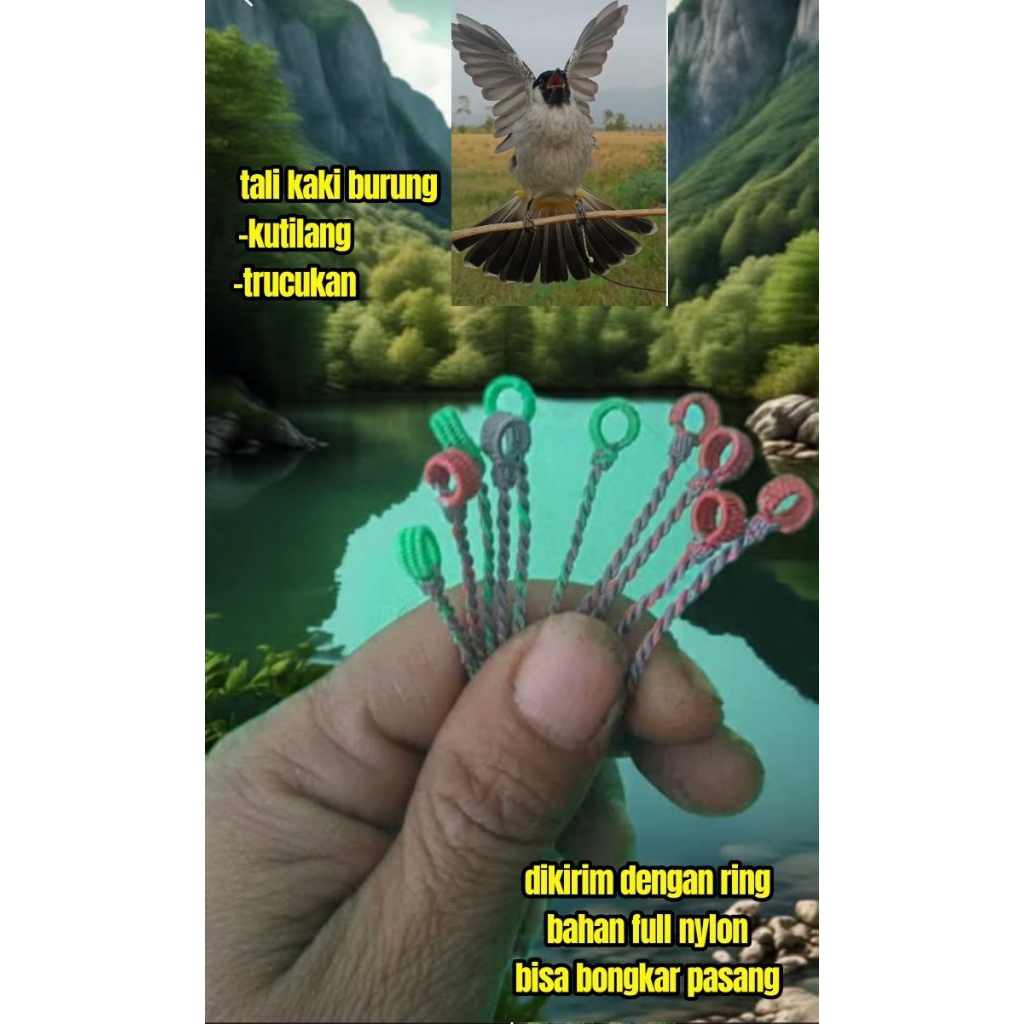 tali angklet burung kutilang trucukan bahan kuat anti melintir