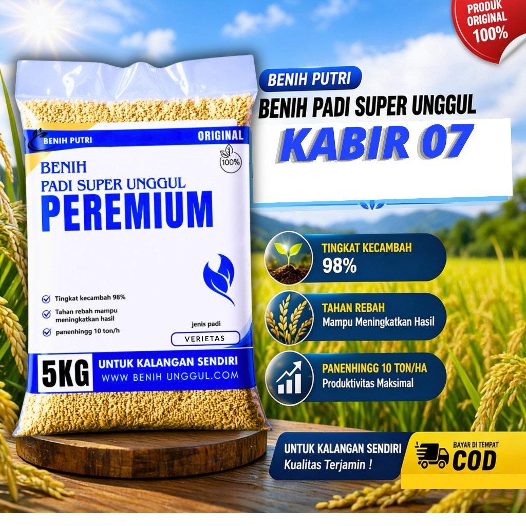 benih Padi Unggul Kabir 07 5Kg Premium Padi Unggul Kabir 07 5 Kg Berkualitas Super