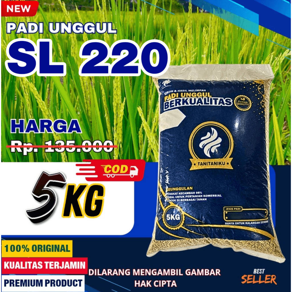 Benih Padi bibit padi cl  220  kualitas original kemasan 5 KG