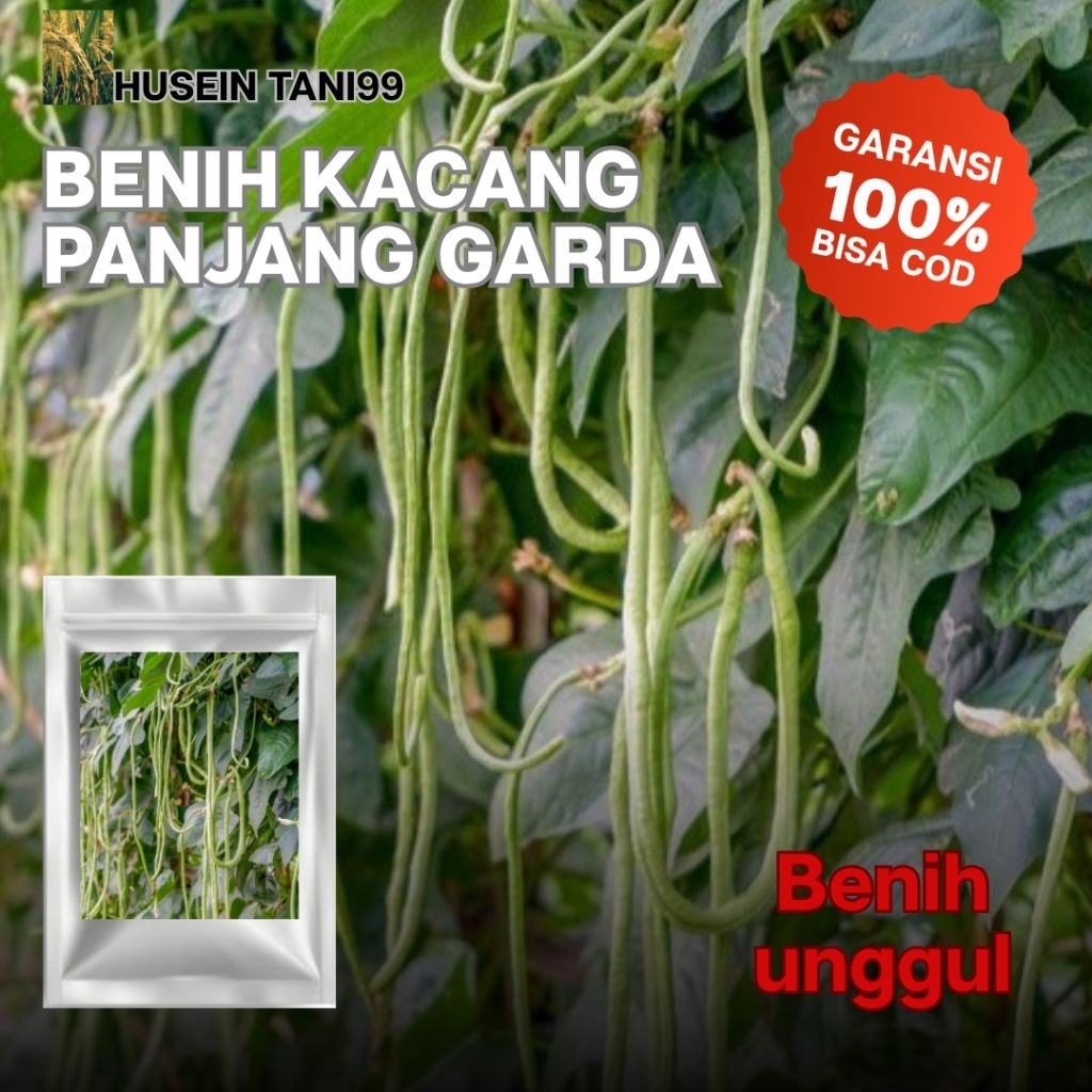 1000 biji benih Kacang Panjang Garda unggul