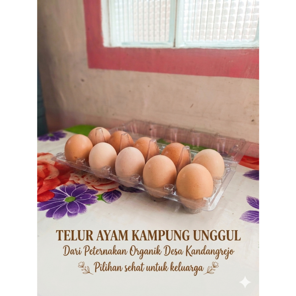 Telur Ayam Kampung Organik