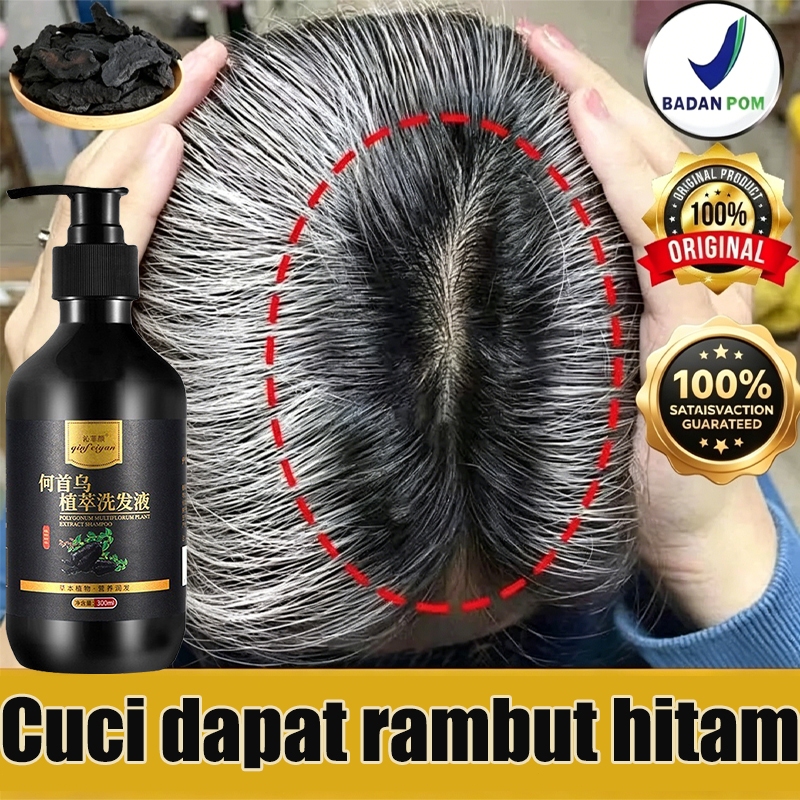 Shampo Penghilang Uban/Black Shampoo Anti Rontok/Shampoo Herbal 500g Penghitam Rambut Beruban Perman