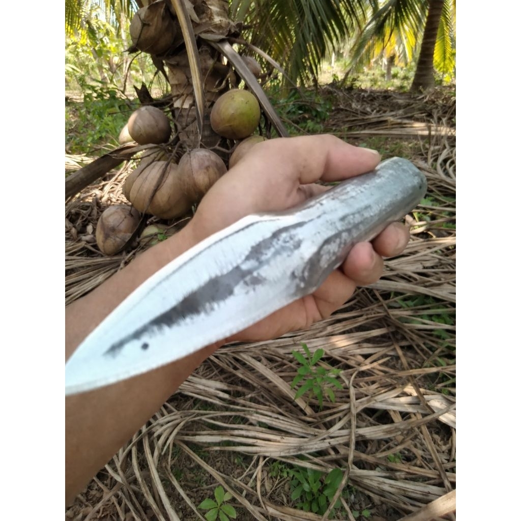 slumbat kelapa,sulak kelapa,pengupas kulit kelapa