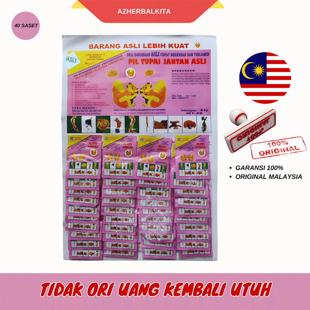 Pil Tupai Jantan Asli - Herbal Kuat Badan, Pereda Nyeri, dan Penambah Stamina